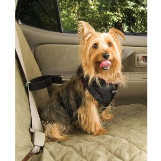 Dog Seat Belts & Dog Car Harness