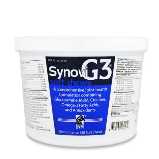 SynoviG3 Joint Support Soft Chews for Dogs   Dog