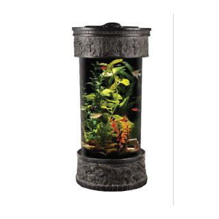 Life & Style Collection Ancient Egypt Desktop Aquarium   Fish   Boutique