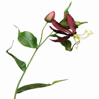 Gloriosa Ruhmeskrone 63cm bordeaux rot Kunstblumen kuenstlich Blumen
