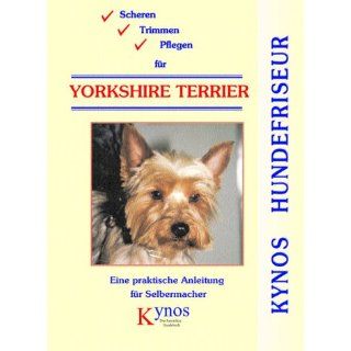 Scheren, Trimmen, Pflegen für Yorkshire Terrier: Eine praktische