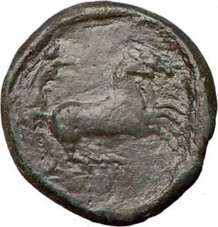 SYRACUSE Sicily 288BC King Hiketas Ancient Greek Coin Underworld Queen