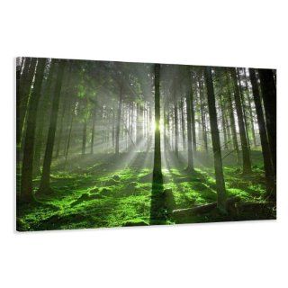 Bild auf Leinwand Wald Bäume 120 x 80 cm Modell Nr. XXL 5130 Bilder