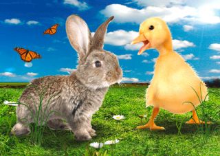 3D Postkarte Kaninchen und Küken,Frohe Ostern, Tiere,