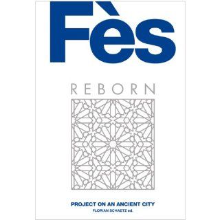 FES Reborn   Project on an ancient city (Fez   in Marokko) 1 