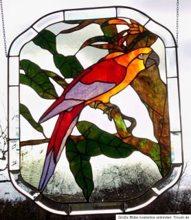 Bleiverglasung,Fensterbild,Kuba  Ara, Papagei, in Tiffany (Kupfer u
