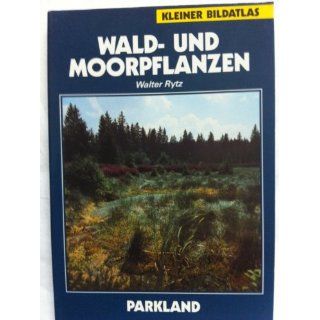 Wald  und Moorpflanzen Walter Rytz Bücher