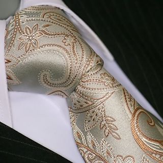 ohne Hemd SEIDE slips corbata cravatte Dassen krawat 270 beige