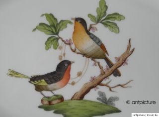 Herend Platte Schale Rotschild RO platter 31 cm 12,2`` Vogel Birds