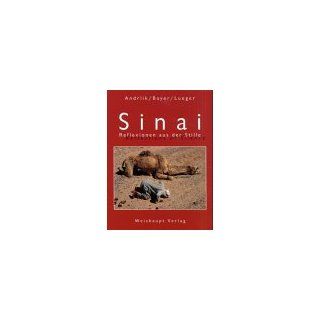 Sinai. Reflexionen aus der Stille Mischa Andrlik, Isabell