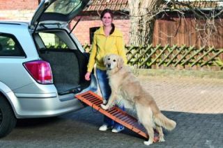 Profi Hunderampe Hundetreppe   Einstiegshilfe für Hunde von Karlie