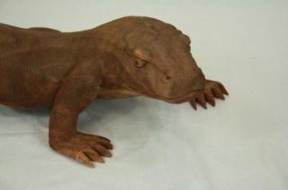 80 cm Komodo Waran Drache Echse Reptil Deko Figur aus Holz