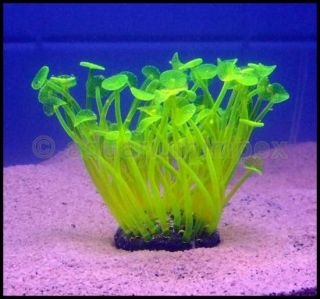 Aquarium Deko Dekoration Deco mit Leuchteffekt Neon Koralle UV grün