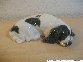 431) Meissen Porzellan Figur Hund Cocker Spaniel Nr. V 155