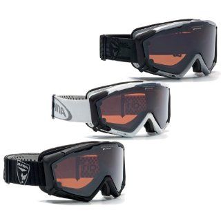 ALPINA Panoma Magnetic Ski & Snowboard Brille / Goggle, Modell 2012