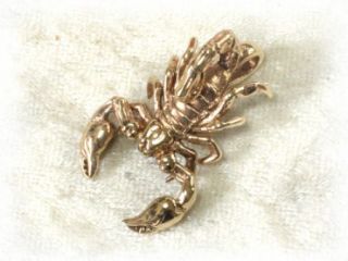 Scorpion Anhänger Sternzeichen Bronze mit Band