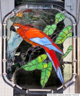 Bleiverglasung,Fensterbild,Kuba  Ara, Papagei, in Tiffany (Kupfer u