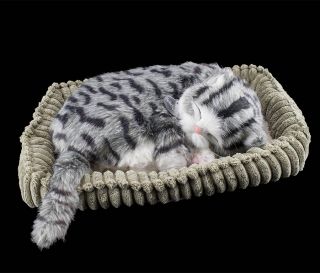 Perfect Petzzz atmende schlafende Katze Gray Tabby Soft lebensecht