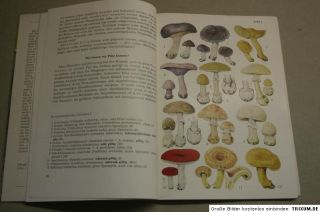 Brehm Bücherei: Unsere Pilze, 1950, Pilzkunde, Mykologie