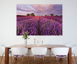 Fototapete Wandbild 1 615 Lavendel 184x127 Blumen Floral Natur Küche