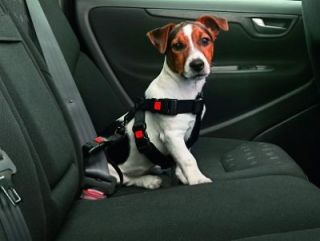 Karlie Hunde Geschirr Auto Sicherheitsgurt Sicherheitsgeschirr
