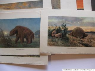 Compagnie Wandsbek 1895 Tiere der Urwelt 31 Lithographien 744