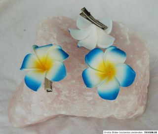 Hibiskus fürs Haar Haarspange Blume blau weiß Xl Blumenspange