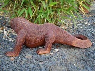 Komodo Waran Eidechse Iguana Gecko 20 cm Holzfigur Mallorca NEU