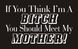 IF YOU THINK IM A BITCH YOU SHOULD MEET MY MOTHER Adult Humor Funky T