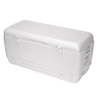 Igloo Quick and Cool Cooler (150 Quart, White) Sports