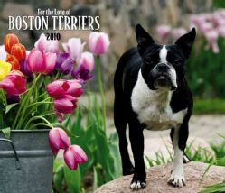 For the Love of Boston Terriers 2010 Calendar