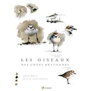 Les oiseaux des côtes bretonnes   Achat / Vente livre Sandra