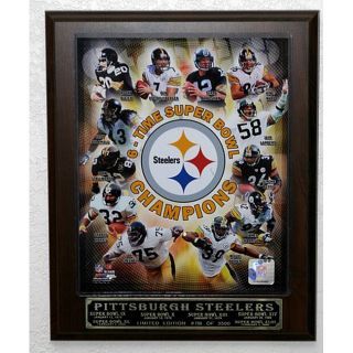 Pittsburgh Steelers 2009 Superbowl Champions Picture Plaque