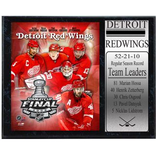 Detroit Red Wings 2009 Cup Finals 12x15 Stat Plaque Today $32.99