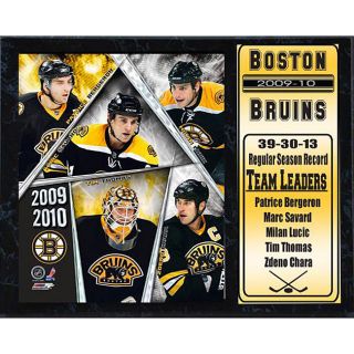 2010 Boston Bruins 12x15 inch Stat Plaque