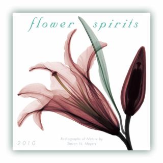 Flower Spirits   Mini 2010 Calendar