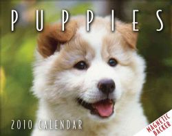 Puppies 2010 Calendar