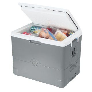 Igloo Cool Chill Thermoelectric Cooler (Mercury/White, 40