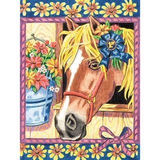 Pencil Works Color By Number Kit 9X12in Blue Ribbon Pony