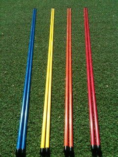 Golfnsticks Golf Alignment Sticks (2 pack) Alignment Rods
