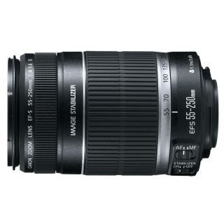 Canon EF S 55 250mm f/4.0 5.6 IS Telephoto Zoom Lens