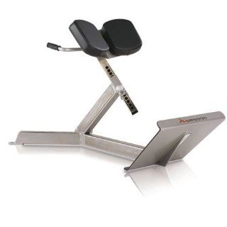 FreeMotion Commercial EPIC 45 Degree Back Extension Bench