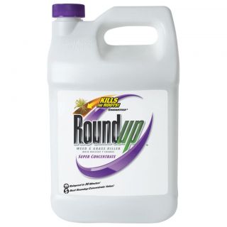 Roundup Weed & Grass Killer 50 percent Super Concentrated