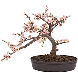 Silk 15 inch Potted Cherry Blossom Bonsai Plant Today $52.99 5.0 (3