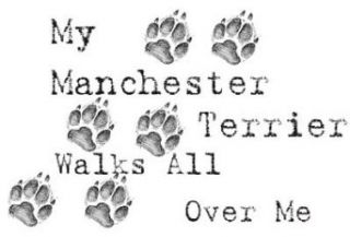 My Manchester Terrier Walks All Over Me Apron Clothing