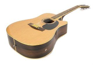 NEW ACOUSTIC / ELECTRIC 12 STRING GUITAR PRO MODEL