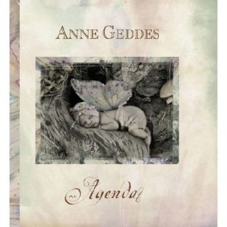 Agenda perpétuel Anne Geddes ; grand format   Achat / Vente livre