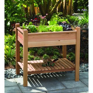 Phat Tommy Elevated Brown Planter Box