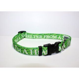 Dog Collar   Im a Heart Melter from a Shelter   Size
