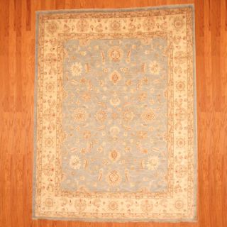 Afghan Hand knotted Vegetable Dye Light Blue/ Ivory Wool Rug (8 x 10